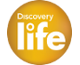Discovery Live